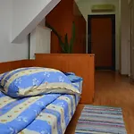 Kollege * クルージュ＝ナポカ